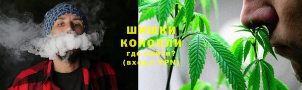 дживик Майский