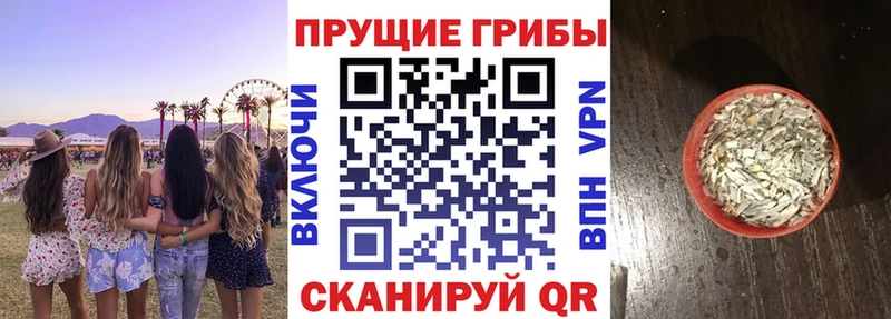 Галлюциногенные грибы MAGIC MUSHROOMS  купить наркоту  Черепаново 
